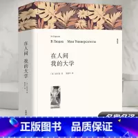 在人间 我的大学 [正版]在人间 我的大学 全译本平装版 (苏)高尔基 著 郭家申 译 世界名著文学 书店图书籍 中国文