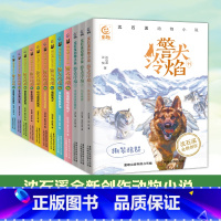 [全套12册]沈石溪动物小说 警犬冷焰 [正版] 沈石溪动物小说全集 警犬冷焰全套12册黄金蟒之子的复仇喜马拉雅山巨兽迷