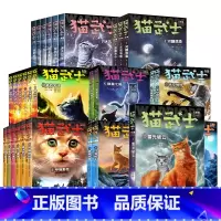 猫武士1-8部曲[全套46册] [正版]猫武士全套46册第八部曲4雷光破云中文版首部曲一二三四五六七78部曲外传 小学生