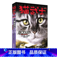 首部曲-2寒冰烈火 [正版]猫武士全套42册 七部曲首一部曲二部曲三部 四部 五部 六部曲呼唤野性疑云重重 故事小说学生