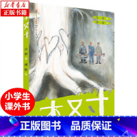[正版]木又寸 冯俐著 环境保护主题读物 彩图版 小学生课外阅读书籍 环保意识培养树木相关的书籍 三四五六年级课外书