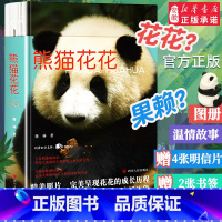 [正版]赠书签+明信片熊猫花花 蒋林书写熊猫花花的家族和花花成长历程附有丰富的熊猫知识科普大熊猫的生物学特点和生活习性