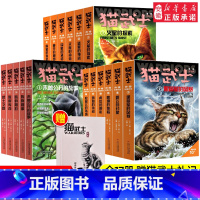 猫武士外传 长篇12册+短篇5册[共17册] [正版]礼盒装猫武士外传全套17册长篇小说蓝星的预言火星的探索解释补充不为