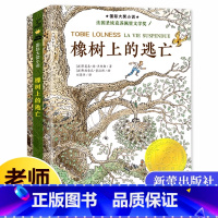 橡树上的逃亡 [正版]无字书图书馆(2023年百班千人寒假书单 三年级阅读)新蕾出版社 安徽