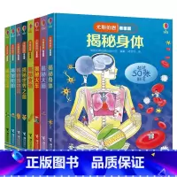 我们的生活篇 共8册 [正版]尤斯伯恩看里面我们的生活 共8册 5-6-7-10-12岁少 揭秘身体运转大脑博物馆 3d