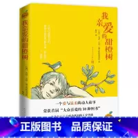 我亲爱的甜橙树 [正版] 我亲爱的甜橙树 德瓦斯 塞洛斯著 8-9-10-12岁 成长小说 文学三四五六年级小学