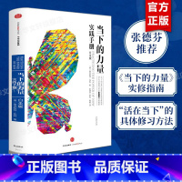 [正版]新版当下的力量 实践手册(白金版) 心灵书作家张德芬作序 如何创造性地使用你的大脑 如何利用你的消极心态