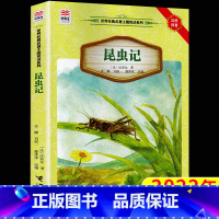 昆虫记 [正版]昆虫记 世界名著主题悦读系列 法布 著 6-12岁青少年课外阅读书籍 优等生文库 自然科普 早教科普