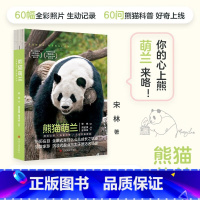 [正版]熊猫萌兰书 蒋林、宋林等著熊猫相关书