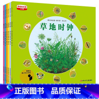 第一辑6册(新老版本随机发) [正版]太阳时钟 少年版科普四季时钟系列科普绘本 德 乌纳 雅各布 科普百科老师暑假推阅读