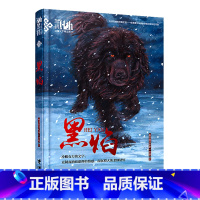 黑焰 [正版]新版 黑焰 插图版 黑鹤动物文学精品系列 格日勒其木格黑鹤长篇小说 文学书 小学生课外阅读书 阅读