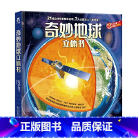 地球立体书 [正版] 我们的身体羊水袋书儿童3d立体书绘本3-6-9-12岁幼儿早教人体科普百科全书翻翻童书揭秘身体早教