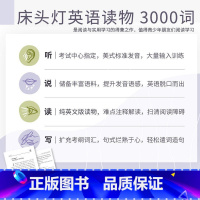 [正版]床头灯英语读本系列3000词 少年维特的烦恼 纯英文版 英语读物