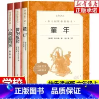 [3册]爱的教育+童年+小英雄雨来 [正版] 爱的教育+童年+小英雄雨来 六年级上册课外书阅读书 快乐读书吧阅读书籍三年