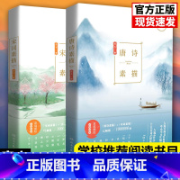 [正版]2册 唐诗素描+宋词素描 共两本 曾冬意境读本 中国古诗词鉴赏 古代诗词文学中学生小学生初中生课外读物辞典书籍