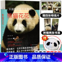[正版]赠包包+明信片*4+书签*2熊猫花花 蒋林 著 书 大熊猫花花成长历程知识 女明星花花