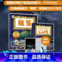鲸落 [正版]鲸落 鲸鱼科普绘本海洋科普书揭秘海洋动物百科大全书课外阅读书籍海底动物生物世界D