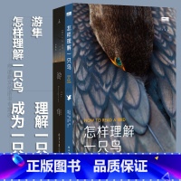 [正版] 游隼+怎样理解一只鸟 2册关于如何成为一只鹰的书,理解一只鸟的故事