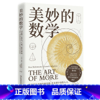 [正版]美妙的数学 迈克布鲁克斯 一部诗意感性的数学史 教师钱守旺 数学up主佟大大科普读物数学史美丽的数学热卖书D