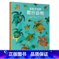 无处不在的爬行动物 [正版]无处不在的爬行动物 6-9岁 国际插画大师 自然科普 知识性图画书