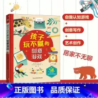 [正版] 孩子玩不腻的创意游戏书 宅家不再无聊 小小的一方天地大大的头脑创意你就是