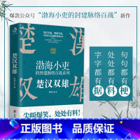 [正版]渤海小吏讲中国史:楚汉双雄 通过9场重大战役,讲述中国历史精彩的8年。55万+读者热血期待! 书