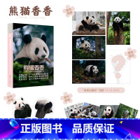 [正版]海报x1+异形书签+明信片x4熊猫香香书籍 何建著 旅日大熊猫香香成长历程知识问答科普小说记录书籍 四川人民