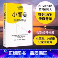 [正版]小而美:持续盈利的经营法则 做好小团队管理 维持企业持续经营 硅谷青年创业总结回顾 管理类书籍企业经营 出版