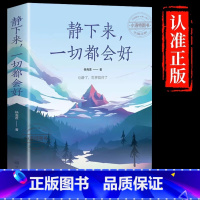 静下来,一切都会好 [正版] 静下来,一切都会好 内心强大的女子改变自己心灵鸡汤正能量淡定女人女性读物修身养性静心书 青