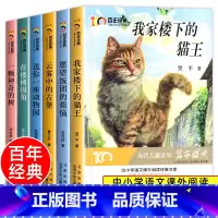 [全6册]儿童文学冰心奖套装 [正版] 百年经典儿童文学冰心奖 我家楼下的猫王魔法学校名家名作系列四年级阅读课外书必三四