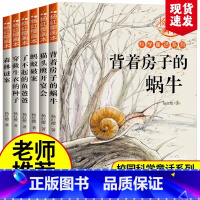 杨红樱科学画本[全套6册] [正版] 全6册杨红樱作品集系列画本 小学生三四五六年级课外书名师8-12周岁阅读的故事科学