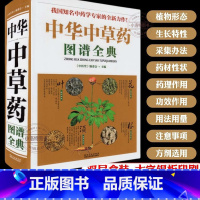 [官方正版]中华中草药图谱全典 [正版] 全图鉴中华中草药图谱全典彩图精装版 大全书中医学草药书本草纲目千金方汤头歌诀黄