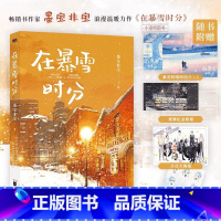 [正版]赠纪念票根+明信片+海报+贴纸在暴雪时分实体小说书 墨宝非宝 吴磊赵今麦主演同名电视剧原著小说 蜜汁炖鱿鱼作者