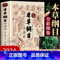 [正版]全书实拍本草纲目精编中草药 李时珍版中草药彩图中医基础理论大全书 原版全套医学黄帝内经中草药材书籍图解中医书籍