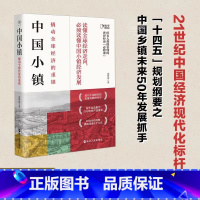 [正版] 中国小镇 撬动全球经济的重镇张梦希著财之道丛书中国特色小镇工业的缩影大国重器中国神奇小镇中国经济发展浙江人民