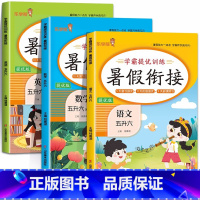 [3册]语文+数学+英语 [正版] 2024年五升六语文数学暑假衔接人教版全套 小学生五年级下册升六年级上册暑期预习作业