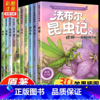 [注音完整版]法布尔昆虫记全套10册 [正版] 法布尔昆虫记全10册彩图注音版原著完整版一二年级阅读课外书大语文老师小学