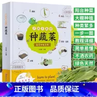 手把手教你种蔬菜 [正版] 手把手教你种蔬菜 蔬菜种植宝典 蔬菜栽培种植技术大全书籍 75款品种蔬菜水果种植教程图解 种