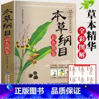 [官方正版]本草纲目 彩色图鉴 [正版] 本草纲目白话文彩图版 李时珍原著药草书本草纲目中医养生入门书籍大全黄帝内经中药
