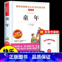 [官方正版 赠考点]童年 [正版] 童年完整版 六年级必读课外书 高尔基 爱的教育小英雄雨来书全套3册三四五六年级快乐读