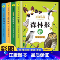 [官方正版 全4册]森林报 [正版] 森林报春夏秋冬全4册注音完整版 小学生一年级二年级三年级课外阅读书籍必读儿童文学世