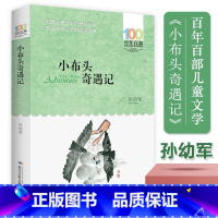 小布头奇遇记 [正版] 小布头奇遇记 百年百部中国儿童文学经典孙幼军著 8-9-10-12周岁小学初中生三四五六七年级课