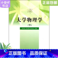 [正版]二手大学物理学下 陆培民 清华大学出版社