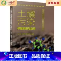 [正版]二手土壤污染修复原理与应用 宋敏 化学工业出版社