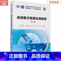 [正版]二手遥感数字图像处理教程 韦玉春 科学出版社