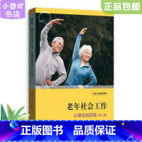 [正版]二手老年社会工作 梅陈玉婵、林一星、齐铱 格致出版社