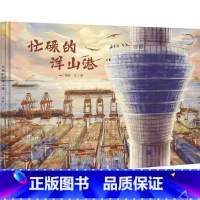 了不起的大国重器-忙碌的洋山港 [正版]了不起的大国重器忙碌的洋山港遨游吧-蛟龙号山东舰前进 太空家园天宫号 海上城堡蓝