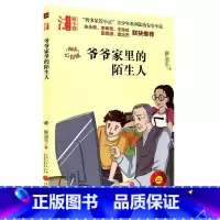 爷爷家里的陌生人 [正版]智多星管小正青少年法治安全小说地下室里的火药味爷爷家里的陌生人少年碟中谍人贩子来了阅读心得版校