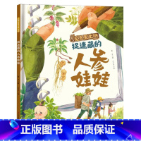 捉迷藏的人参娃娃 [正版]让孩子爱上黑土地捉迷藏的人参娃娃朵朵的爱心大饭包除夕夜的酸菜饺子大豆家族奇遇记不一样的苹果梨