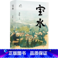 宝水 [正版]山东老总好书大宝水(精) 乔叶 北京十月文艺出版社 第十一届茅盾文学奖获奖作品 9787530222669